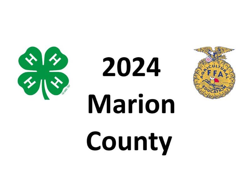 Logo for 2024 Marion County Junior Fair